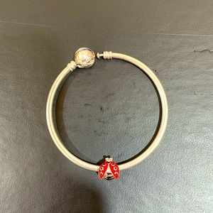 Pandora bracelet